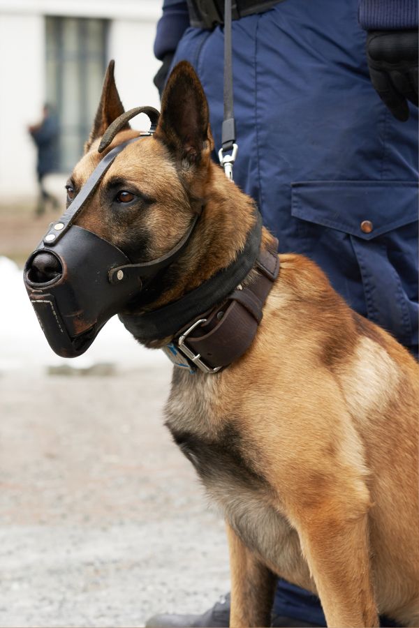 Rhein-Guard - Security Düsseldorf - Objektschutz - Personenschutz - Einbruchschutz - Alarmanlagen